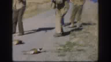 Kansas USA (1958): Hunter Shoots Bird Dead