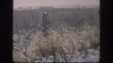Kansas USA (1958): Three Friends Enjoying A Great Day Of Duck Hunting With Rifles