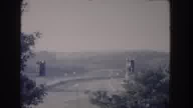 Washington DC USA (1960): Free Roaming Elephants In Their Natural Habitat Meeting