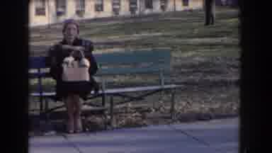 Washington DC USA (1960): Woman Sitting On A Bench Close To The Washington