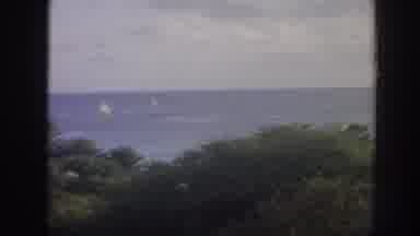 Hawaii USA (1961): Boats Sailing In The Background On Blue Sea With Tropical