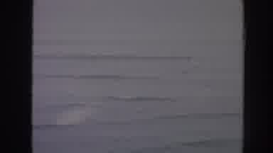 Hawaii USA (1961): You Have Successfully Turk) You Will Need An In