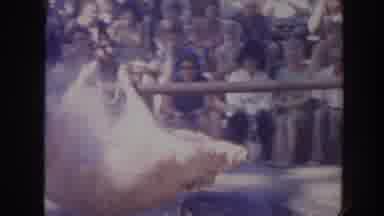 Hawaii USA (1961): Men Wearing Wraps Place Huge Boar Into Fire Pit At Outdoor Luau