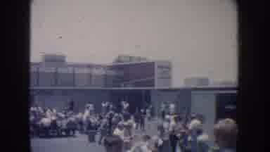 California USA (1962): A Crowd Of People Watching A Group Of Dolphins Swim In A
