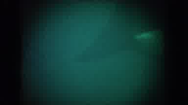 California USA (1962): Underwater Whale Tales and Head