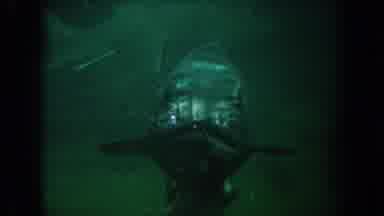 California USA (1962): Fish Water Ocean Aquarium Wild Animal Salt Water Swim