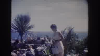 California USA (1962): The Flowers Always Look Perfectly Bloomed In The Springtime