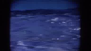 California USA (1962): Dolphins Water Dive Splash Sun Waves Park Crowd Watch