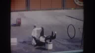 California USA (1962): Seals Playing Ball Get Trained By Trainer