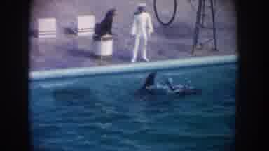 California USA (1962): Seal Water Play Training Joy