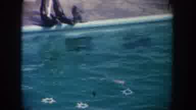 California USA (1962): A Water Dog Was Swim And Jump In The Swimming Pool