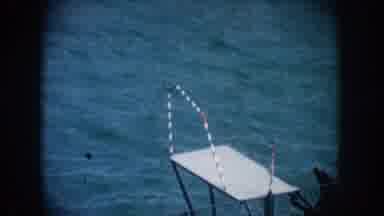 California USA (1962): Training Gone Bad Seal Says No Diving For Me Today