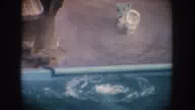 California USA (1962): Seals Playing In The Water At The Zoo Going Down The Slide