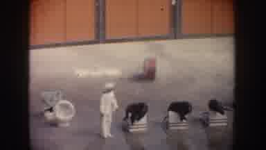 California USA (1962): Seals, Entertainment, Ring Of Fire, Jump, Animal Tricks,
