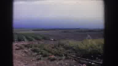 California USA (1962): Scene Of Large Farm And Dirt Road On Clear Day
