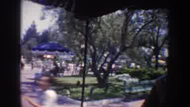 California USA (1962): Scenes Of Carriage Ride Through Busy Park On Sunny Day