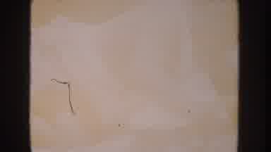 Anaheim California USA (1962): Fuzzy Footage Of An Infant Playing Memories Past