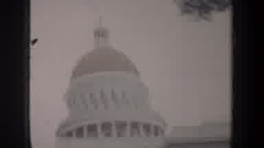 San Francisco California USA (1957): View Of Capitol Building Through Trees On A