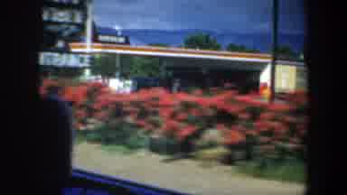 San Francisco California USA-1957: Roadside Flowers Motel Lake And Bridge As Seen From Moving Vehicle