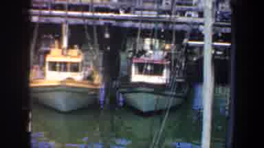 San Francisco California USA (1957): Fishing Boats Sitting At Rest In A Harbor