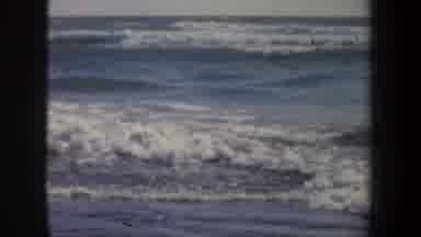 San Francisco California USA (1957): Peaceful Environment Of Balanced Nature