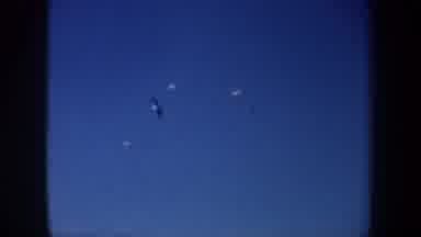 San Francisco California USA (1957): Seagulls Flying In A Blue Sky