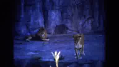 San Francisco California USA (1957): A Bear Is Standing At A Tree In A Winter