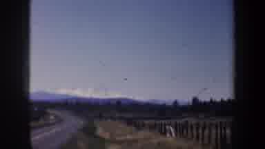 Portland Oregon USA (1957): A Fitful Visit To A Zoo Where We Saw A Turkey