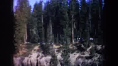 PORTLAND OREGON USA-1957: Forested Canyon With Rocky Cliff Face