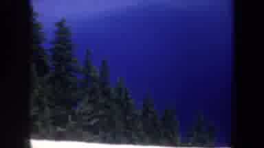 Portland Oregon USA (1957): Very Closed Forest In The Mountains With Snow In The