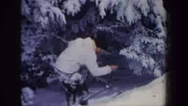 NEW HAMPSHIRE USA-1962: Skier Testing Snow Softness In Forest