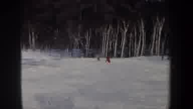 New Hampshire USA (1962): Active Skiing Down White Snow Filled Woodland Mountain