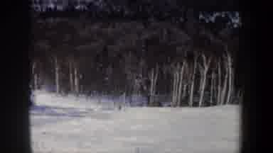 New Hampshire USA (1962): Snow Skiing Sufferer Falls During The Practice Of The