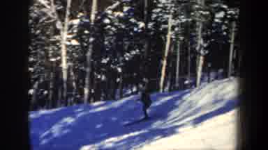 New Hampshire USA (1962): Man Skiing Downhill Past Group Of Trees On Sunny Winter