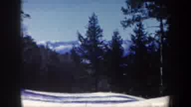 New Hampshire USA (1962): Footage Of Snow And Trees From The Ground And Footage