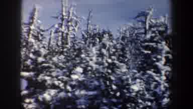 New York USA (1962): Traveling Through A Line Of Trees Near A Snow Covered Cabin