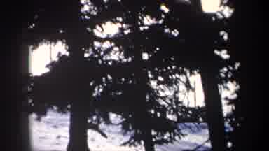 New York USA (1962): A Man Skis In A Winter Landscape With Snow And Trees In The