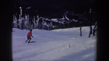 New York USA (1962): Someone Skiing Down A Snowy Slope Through Dead Trees