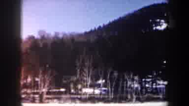 New York USA (1962): Home Video Of A Forest And Trees In The Olden Days