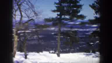 Vermont USA (1962): Continuous Shot Of Pine Trees In Snow With Scenic Blue