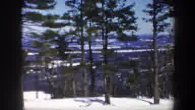 Vermont USA (1962): Snowy Forest With Big Trees