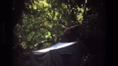 Angola (1969): A Forest With A Tent For Scout Camping
