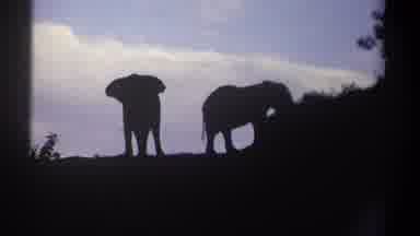 Kenya (1969): Silhouettes Of Two Elephants With The Sky And Clouds Behind Them