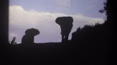 Kenya (1969): View Of Elephant Silhouettes On A Hilltop Ledge At Dusk