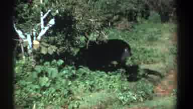 Kenya (1969): Yesterdays Africa And Some Of Its Breathing And Living Attributes