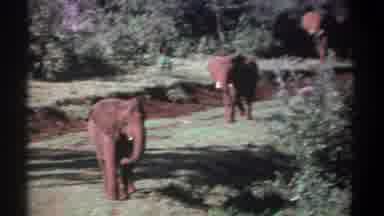 Kenya (1969): Video Of A Beach In Summer