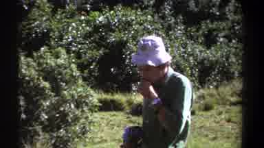 Kenya (1969): A Man Went For A Photoshoot In The Forest And Seen Animals Fighting