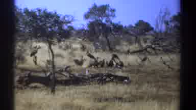 Kenya (1969): Video Of A Beach In Summer
