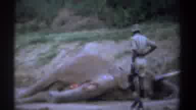 Kenya (1969): The Man Was To See The Elephant It Is Died