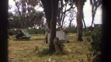 Kenya (1969): An Old Camp With A Military Truck In The Woods
